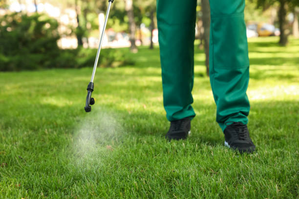 Best Pest Removal Services  in Benjamin, UT