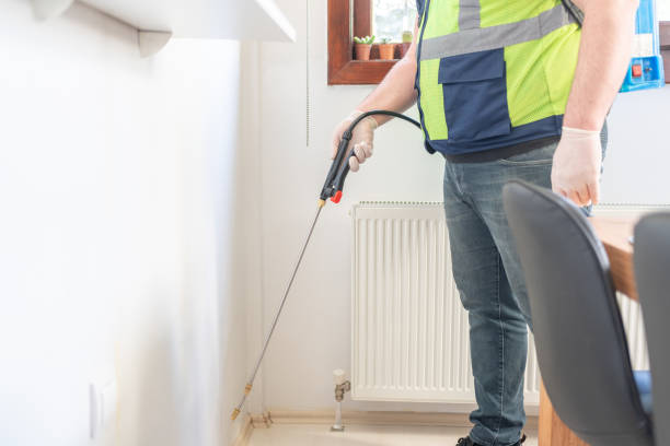 Best Ant Control Services  in Benjamin, UT
