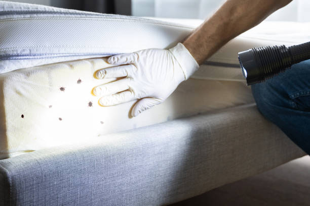 Best Pest Control for Restaurants  in Benjamin, UT