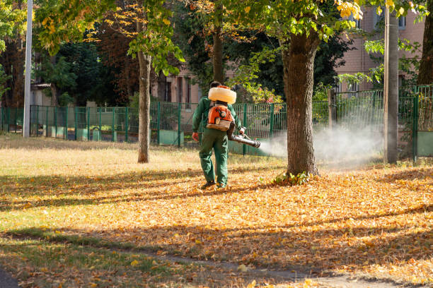 Pest Prevention Services in Benjamin, UT